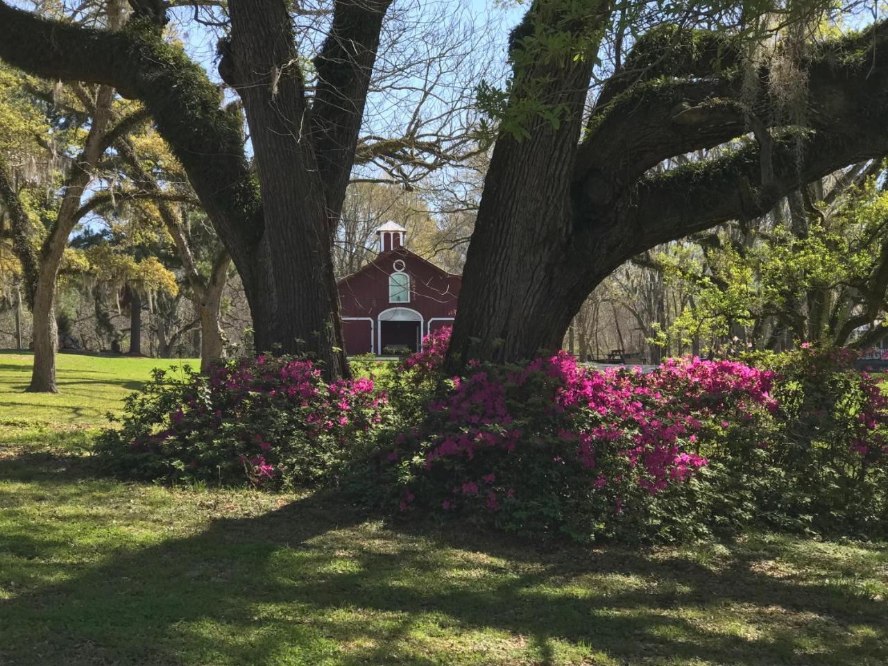 Canemount Plantation Inn Westside Exteriör bild